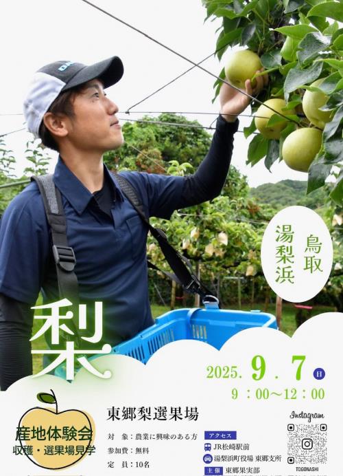 東郷梨産地体験会チラシ表
