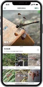 バイオームの画像