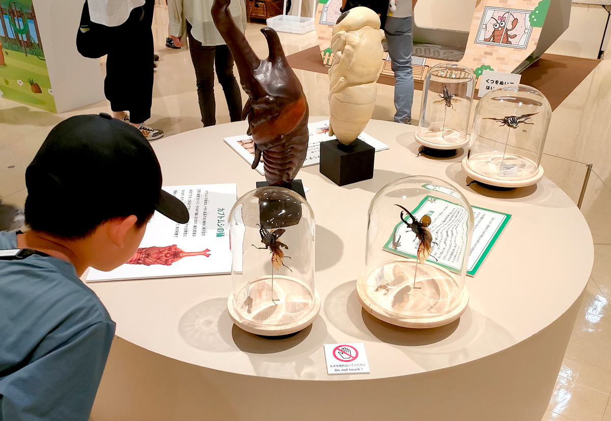 展示室の様子