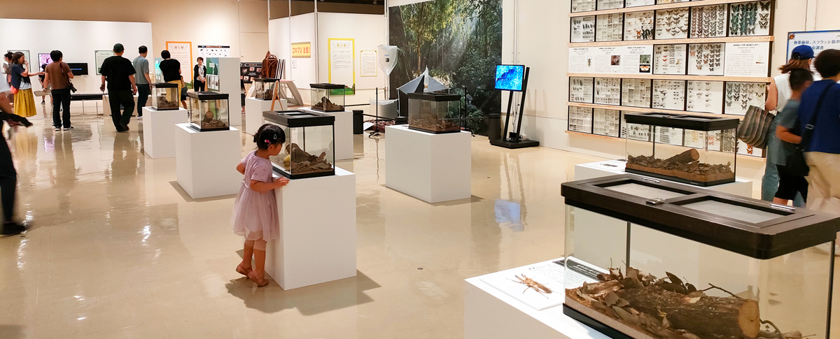 展示風景