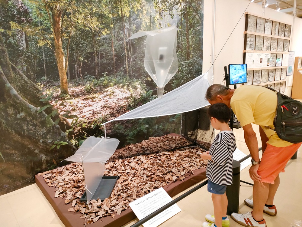 展示室の様子