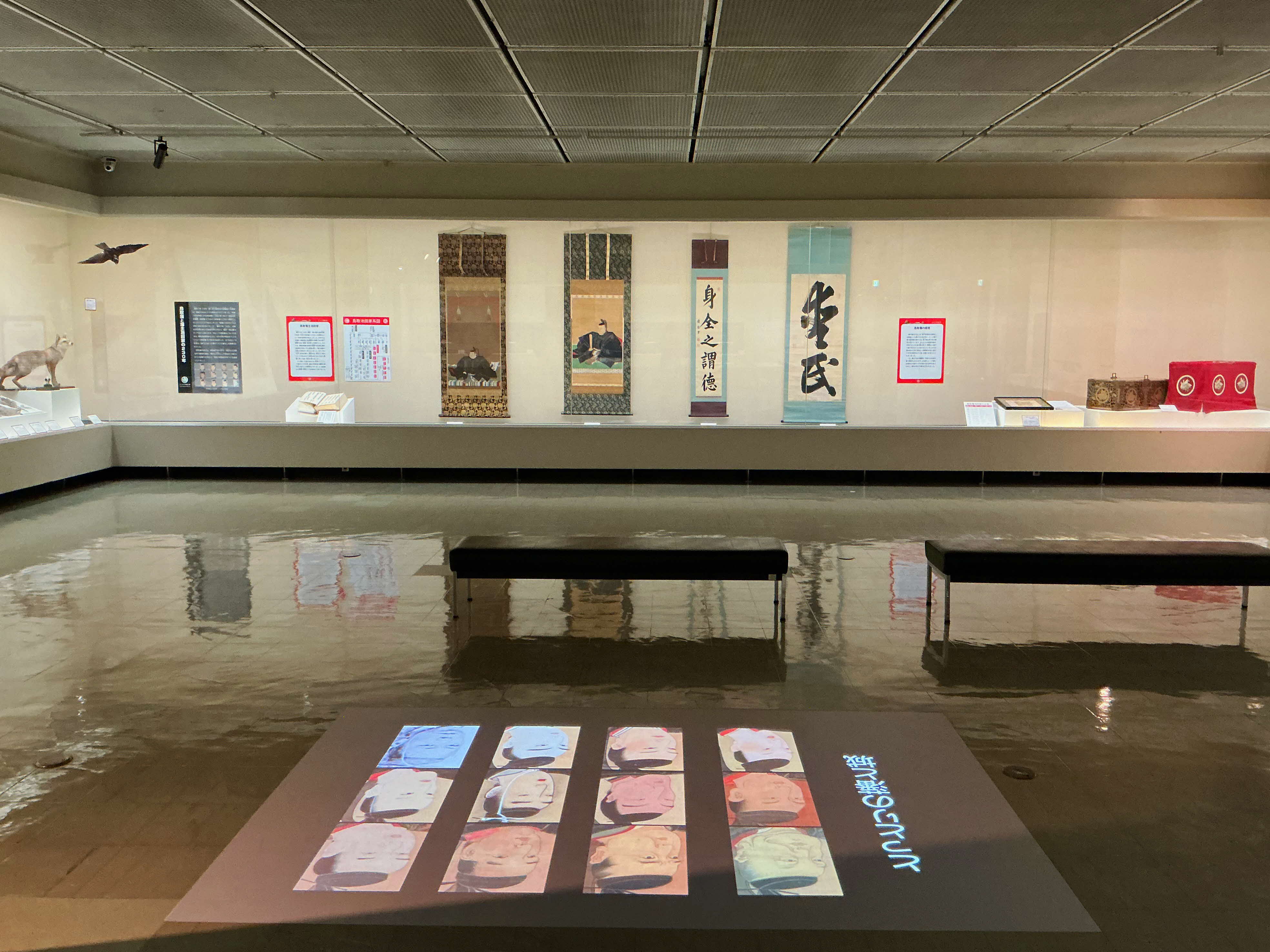 展示の様子