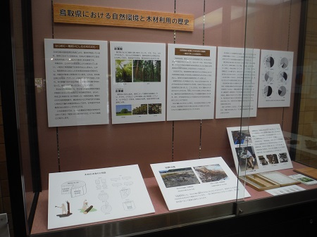 展示風景1