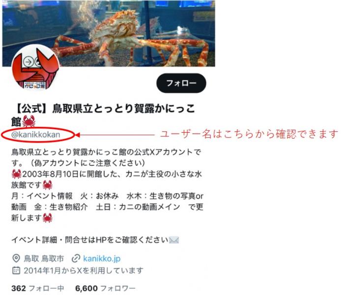 なりすましアカウント