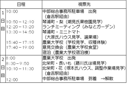 スケジュール