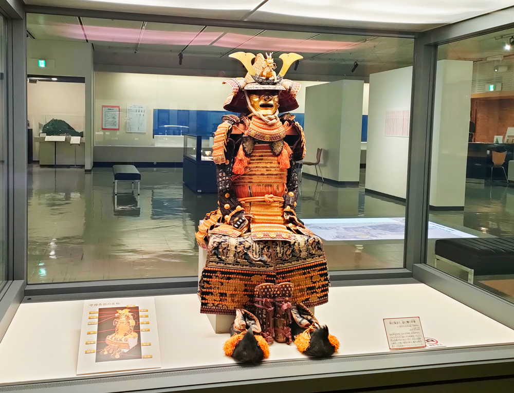 展示の様子