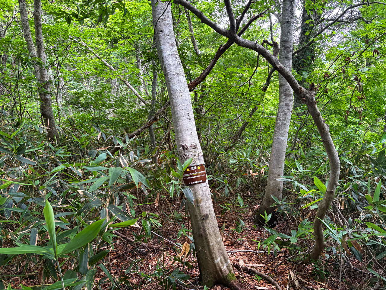 遭難に注意