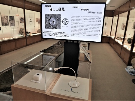 展示の様子