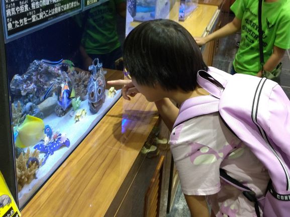 かにっこ館