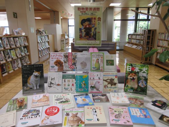 北栄町図書館での展示のようす