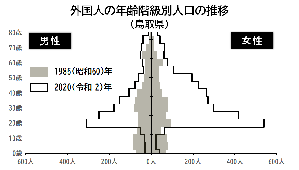 グラフ「外国人の年齢階級別人口の推移（鳥取県）」