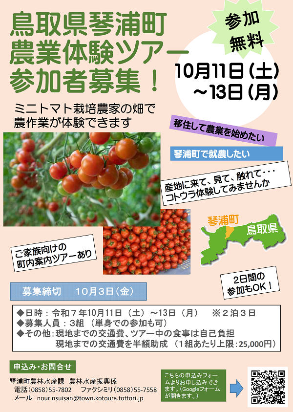 チラシ