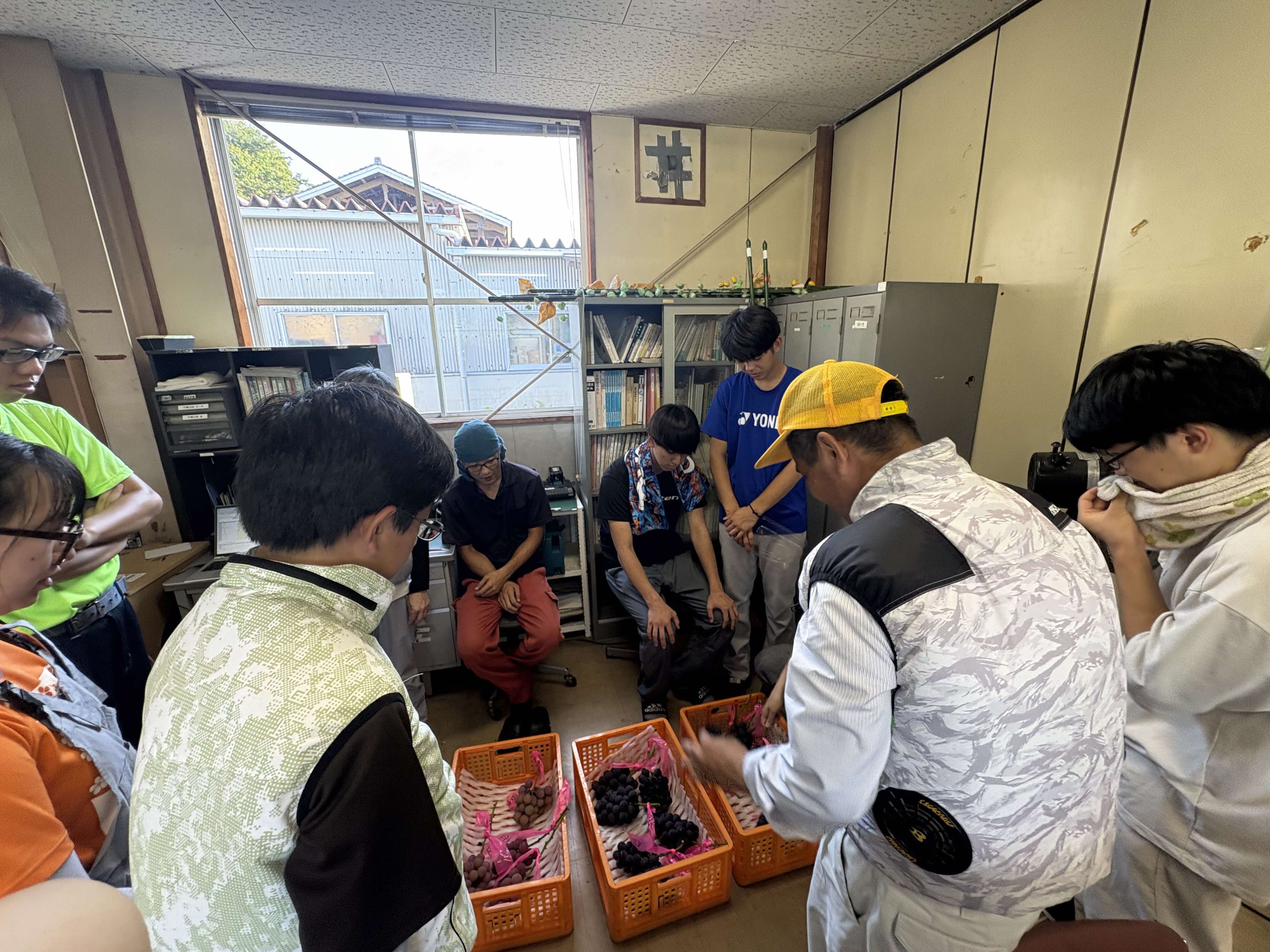 ブドウお披露目会