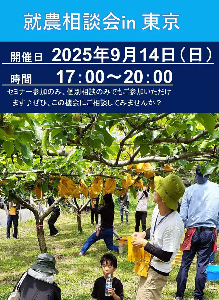 相談会
