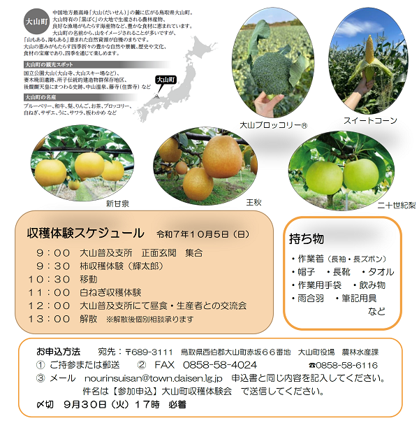 裏