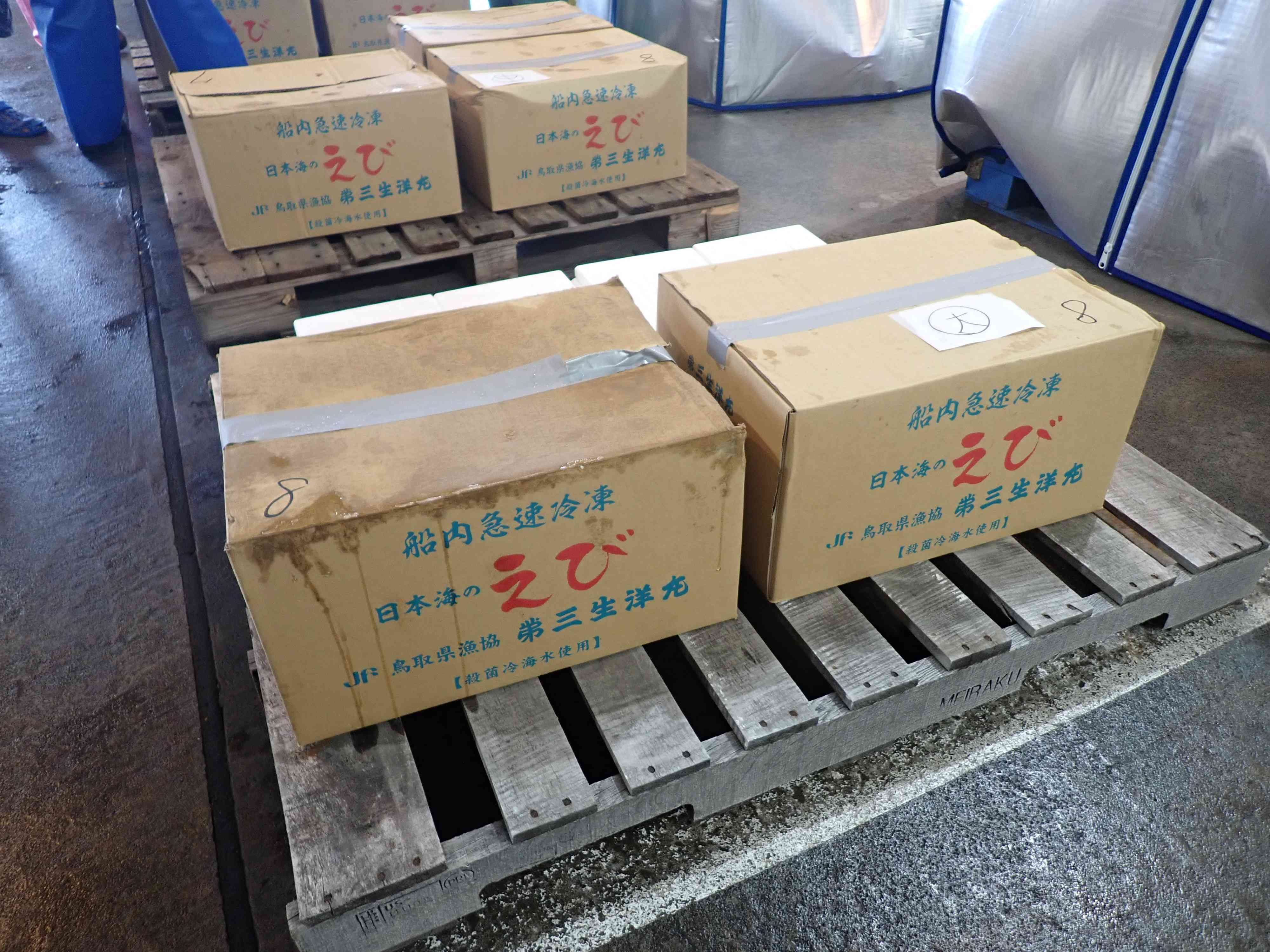 冷凍モサエビ箱