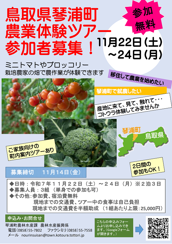 ちらし表