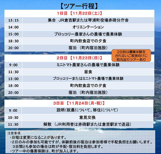 裏