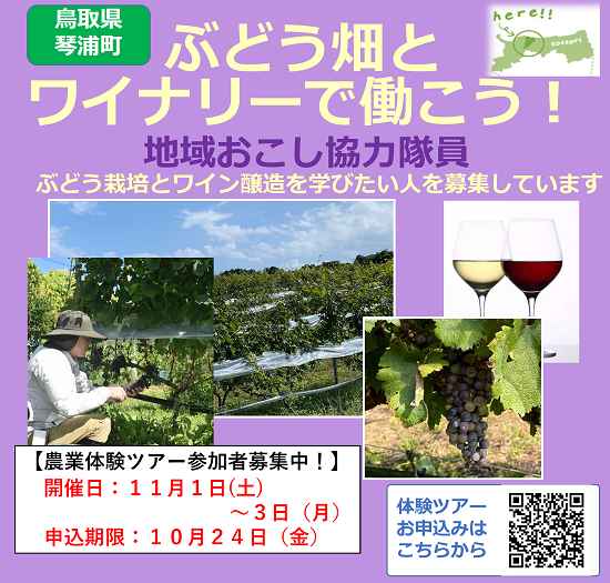 ちらし