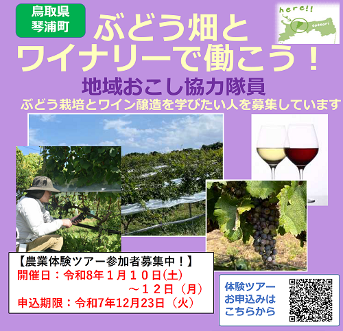 琴浦ワインチラシ