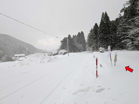 雪の中に立つ鳥取市長柄周辺(双六原)の新旧の関札(2025年1月)