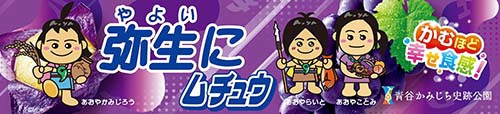 オリジナルデザインハイチュウ