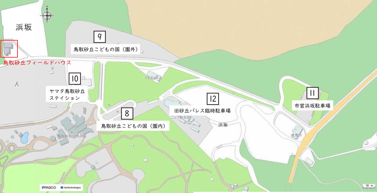 砂丘西側エリア