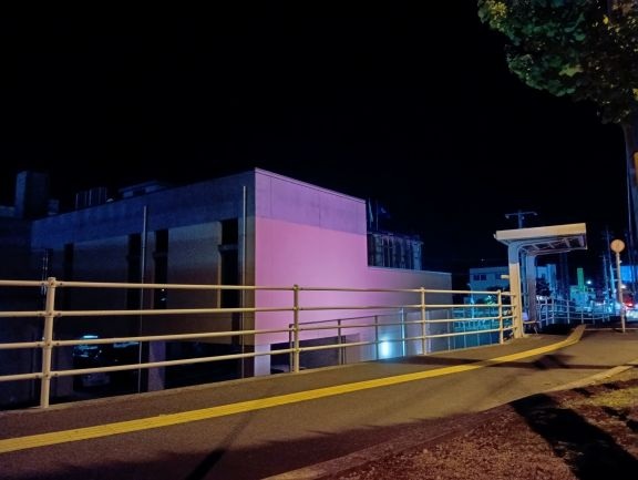 パープルライトアップ写真