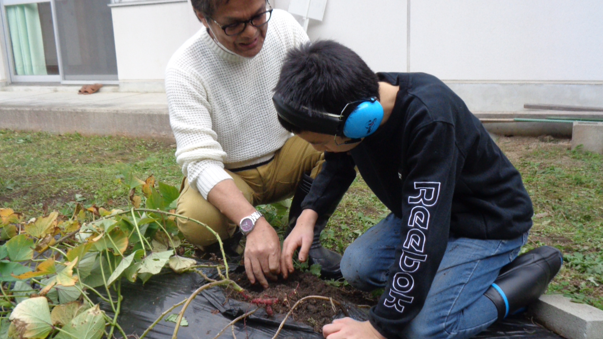 さつまいもを掘る子どもたちの様子