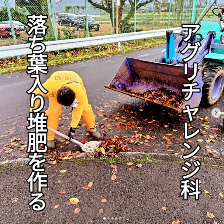 落ち葉入りの堆肥を作っています。写真は農大敷地内の落ち葉を拾っている様子です。