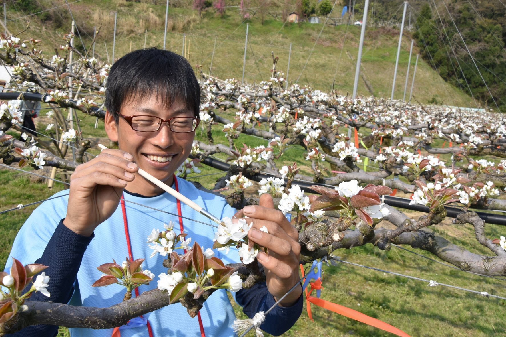 新規就農者写真