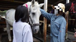 ブラッシング体験