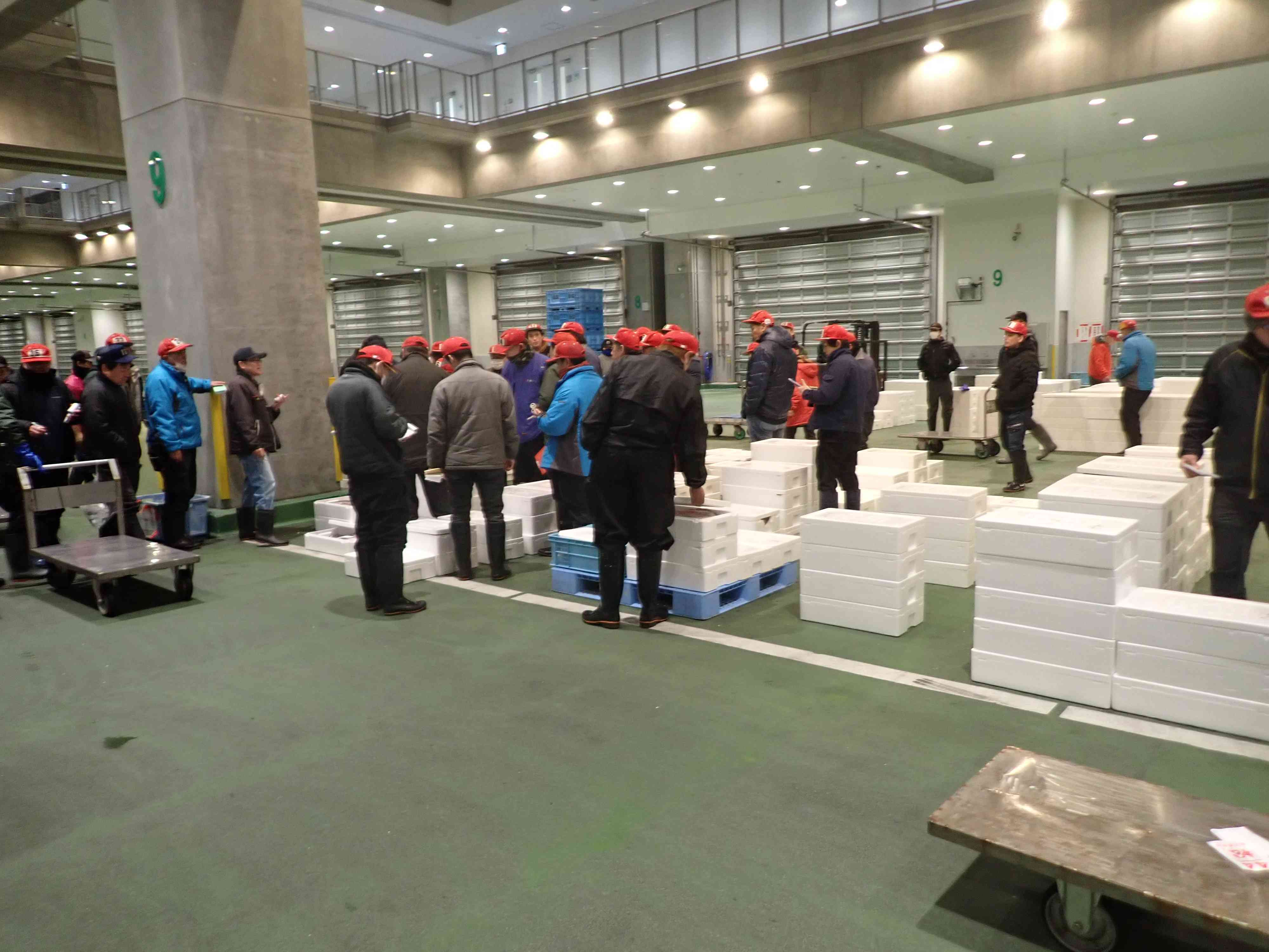 境港市場セリ風景