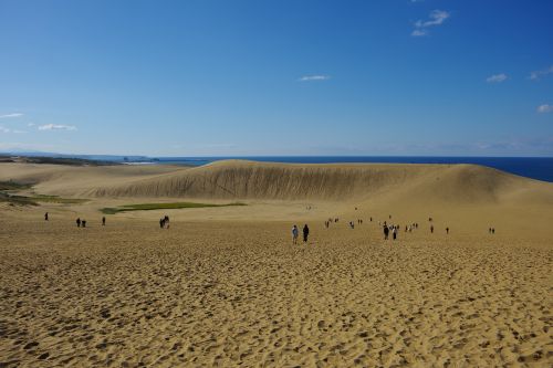 鳥取砂丘「馬の背」
