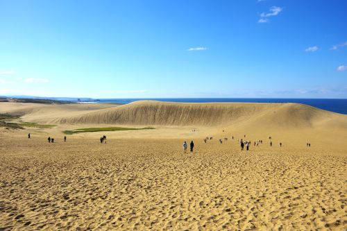 鳥取県馬の背写真