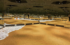 鳥取県ゾーンプロジェクションマッピングの写真1