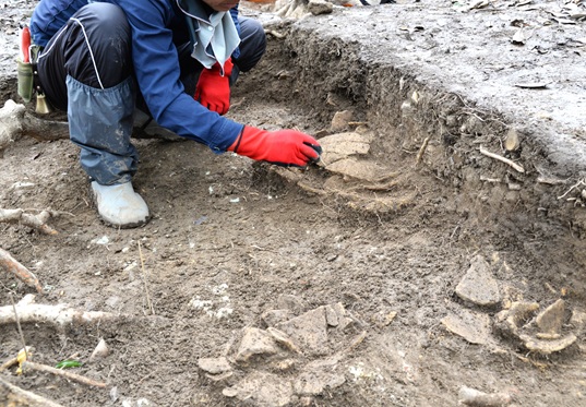 古海36号墳の調査の様子