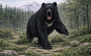 クマのイラスト