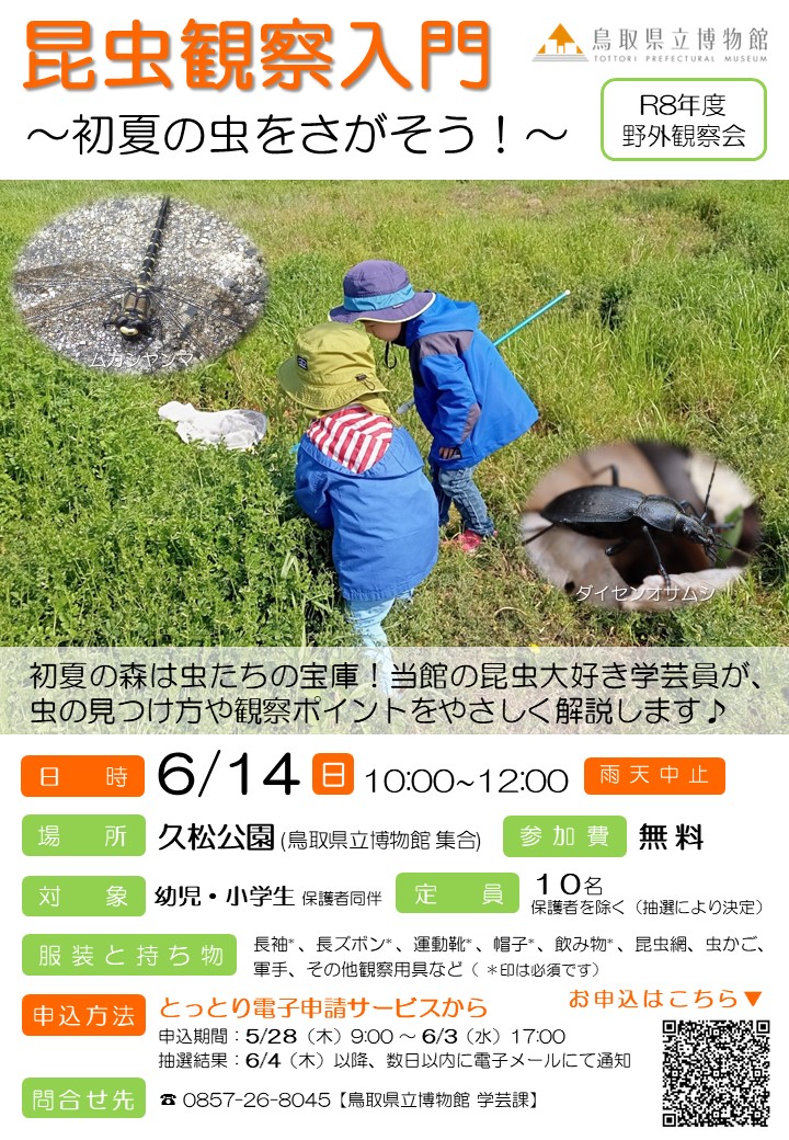 チラシ