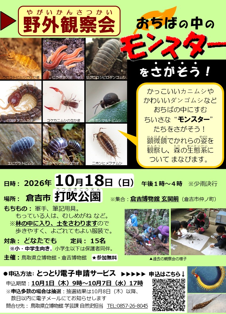 チラシ