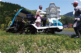 農業体験の写真