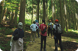 自然体験の写真