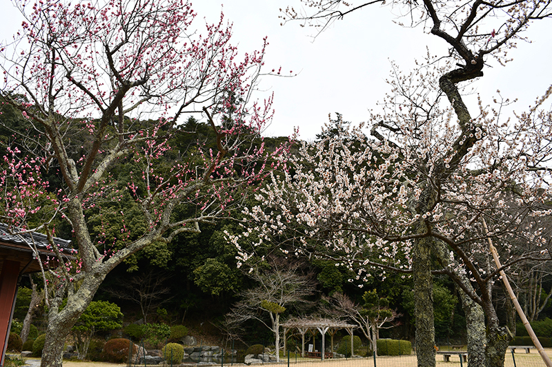 占領期3月活動報告会写真2
