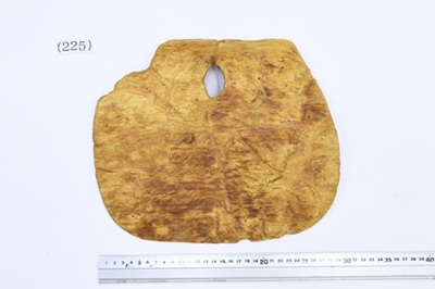 泥除け（修理後）