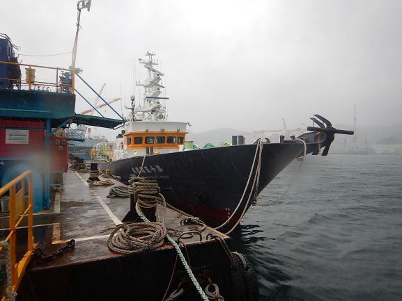 大中型まき網漁船の火船（船首側）