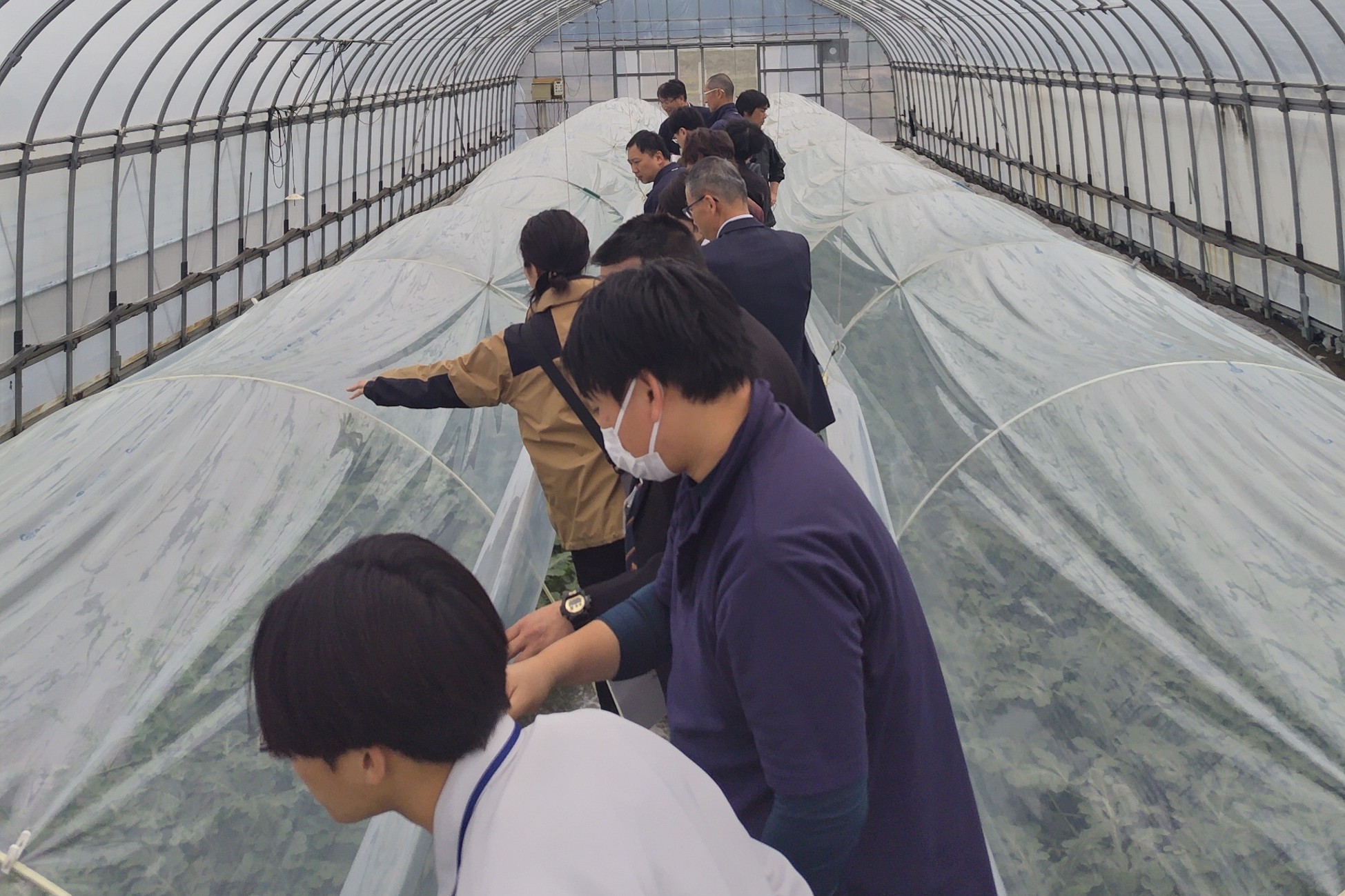 園芸試験場の視察の様子です。ハウススイカを見ています。