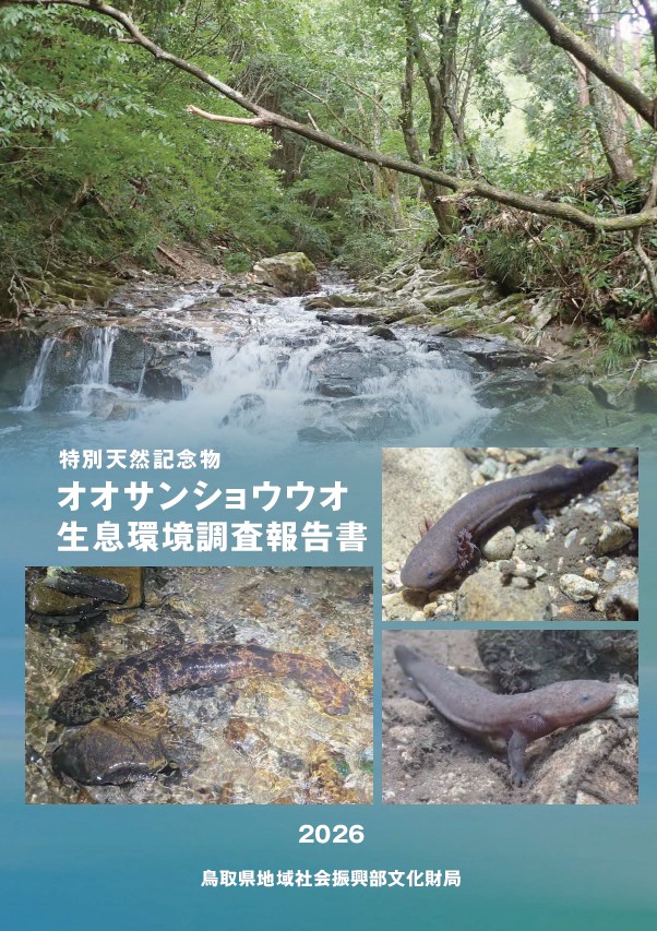 ほうこくしょひょうし