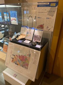 展示の様子