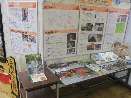 展示状況