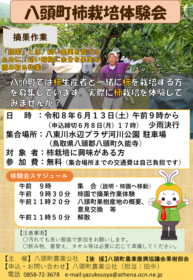 八頭ちらし